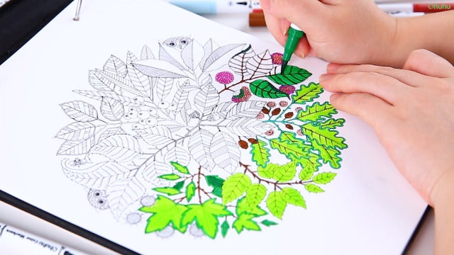 60 Ohuhu Markers for Coloring Books - No bleeding - Dual Tips Fineliner & Brush Drawing Pens - Maui